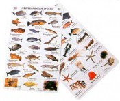 Lagresa Fishcards Canary Islands